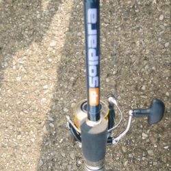 ノマセ釣りでツバス