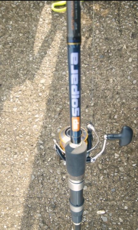 ノマセ釣りでツバス