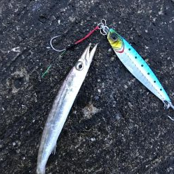 夏が近づいてきた