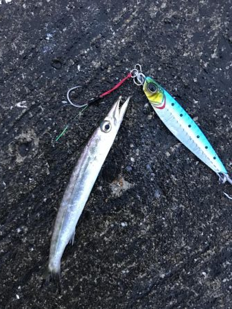 夏が近づいてきた