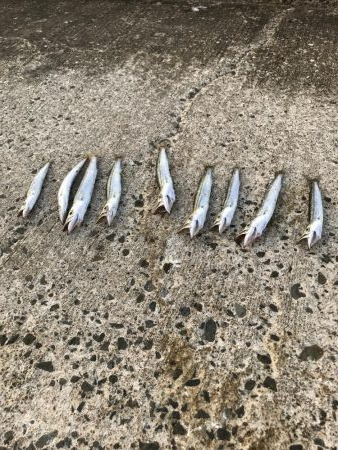 夏のライトショアジギング