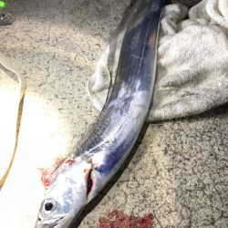 てんやタチウオ