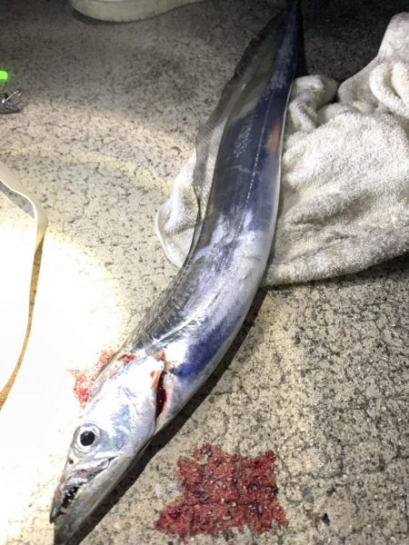 てんやタチウオ