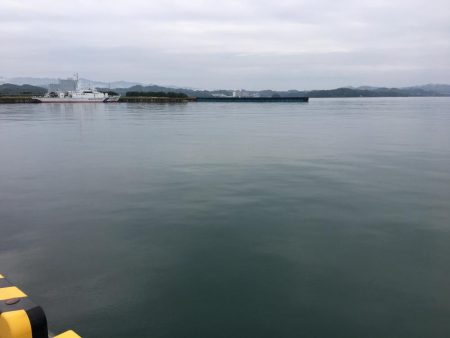 ガシラ7匹、コアジ匹、コサバ1匹