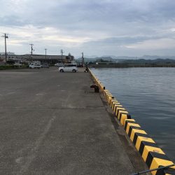 ツバスの子、良型アジ、ボラ、ガシラ