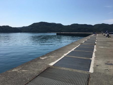 スズメダイ9匹、豆アジ1匹