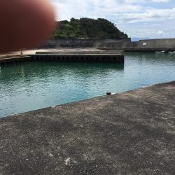 タイ、アジ、ガシラ