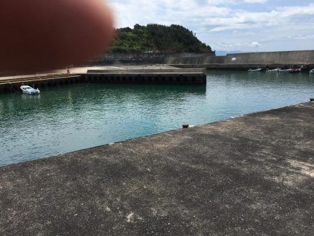 タイ、アジ、ガシラ