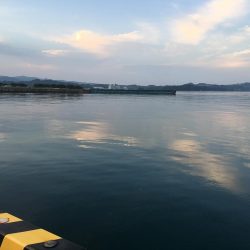 ダツ70㎝、ツバス2匹