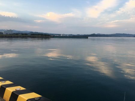 ダツ70㎝、ツバス2匹