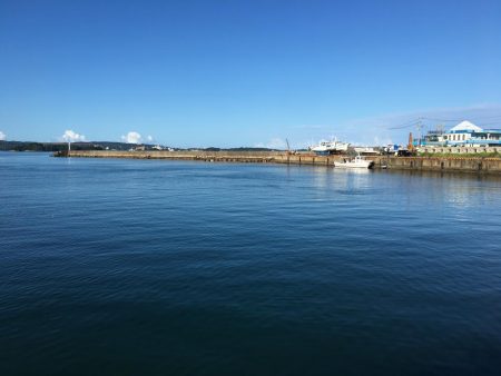 ツバス6匹、タイ1匹