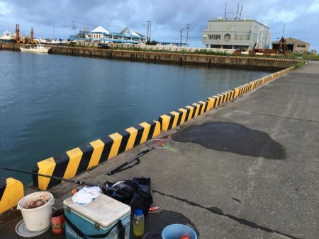 グレ28㎝、ツバス8匹ほか