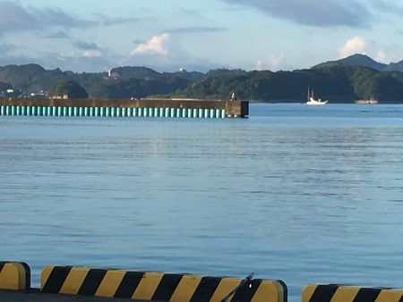 ツバス、カンパチなど