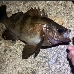 そろそろ終わりにしましょうか？