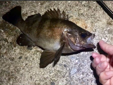 そろそろ終わりにしましょうか？