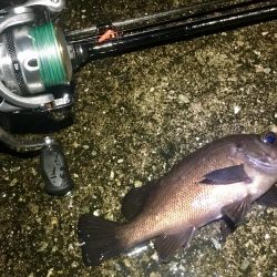 まだ行ってます！