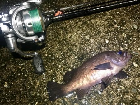 まだ行ってます！