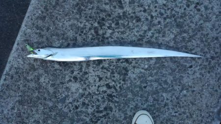 この場を借りて･･･