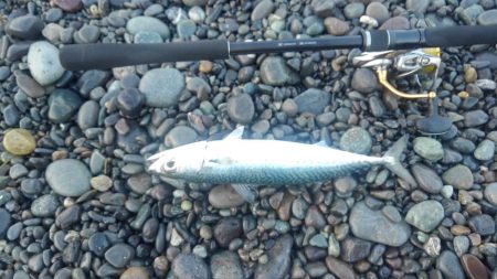 6番駐車場閉鎖されてる!