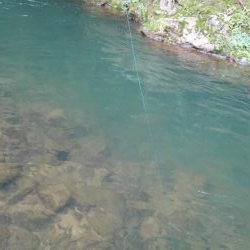 極太ウナギ！きたー！