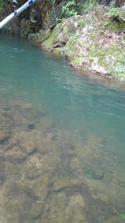 極太ウナギ！きたー！