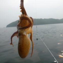 手漕ぎボート　キス