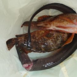 太刀キャッチできず。。