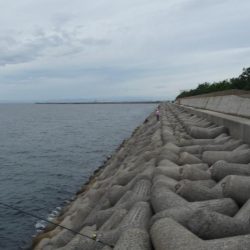 ギリボウズ逃れ＾＾；