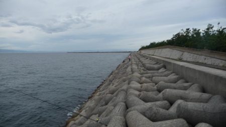 ギリボウズ逃れ＾＾；