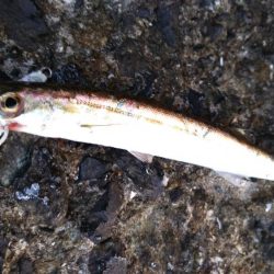 ダイソージグでネイリ