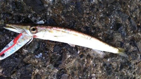 ダイソージグでネイリ