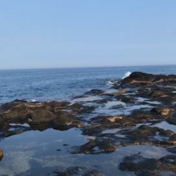 磯からひたすら投げて