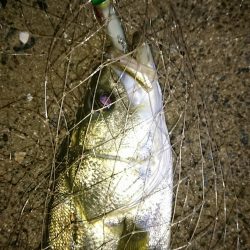 ずぶ濡れリベンジ！〜このままでは帰れない。