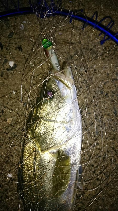 ずぶ濡れリベンジ！〜このままでは帰れない。…