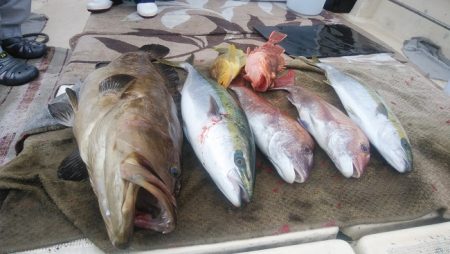 大物釣果速報！●光義丸：平戸市早福港