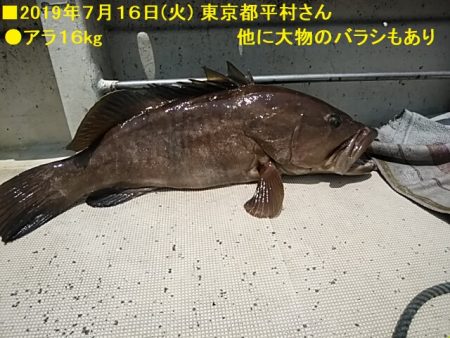 大物釣果速報！●光義丸：平戸市早福港