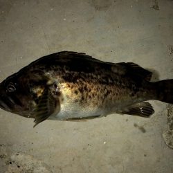 強風の留萌エリア