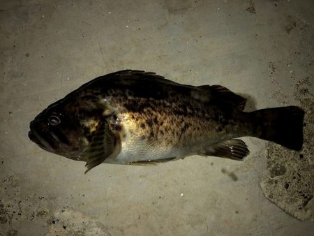 強風の留萌エリア