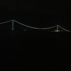 エサ釣り中サバ1匹、ケンサキ不発