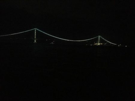 エサ釣り中サバ1匹、ケンサキ不発