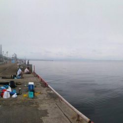 鳴尾浜臨海公園でショアジギング