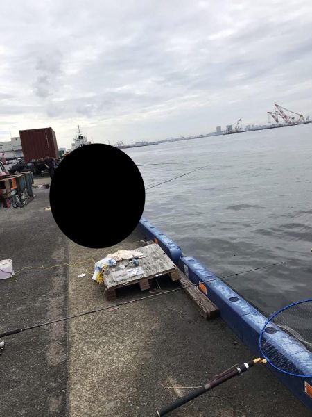 神戸港ツバス・モジャコ