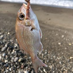 ライトタックルちょい投げ初‼︎