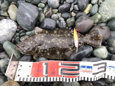 久々雨無し週末ショアジギング