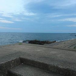 「照りゴチ」シーズン到来！夜半の夕涼みショアジギングでマゴチゲーム