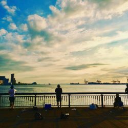 ツバス・カレイ・グレ