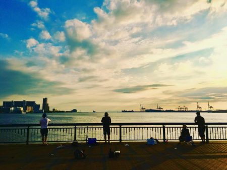 ツバス・カレイ・グレ