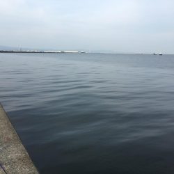 沖の北でライトショアジギング