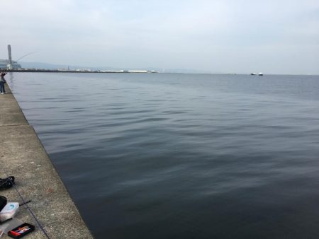 沖の北でライトショアジギング