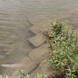 お手軽小物釣り